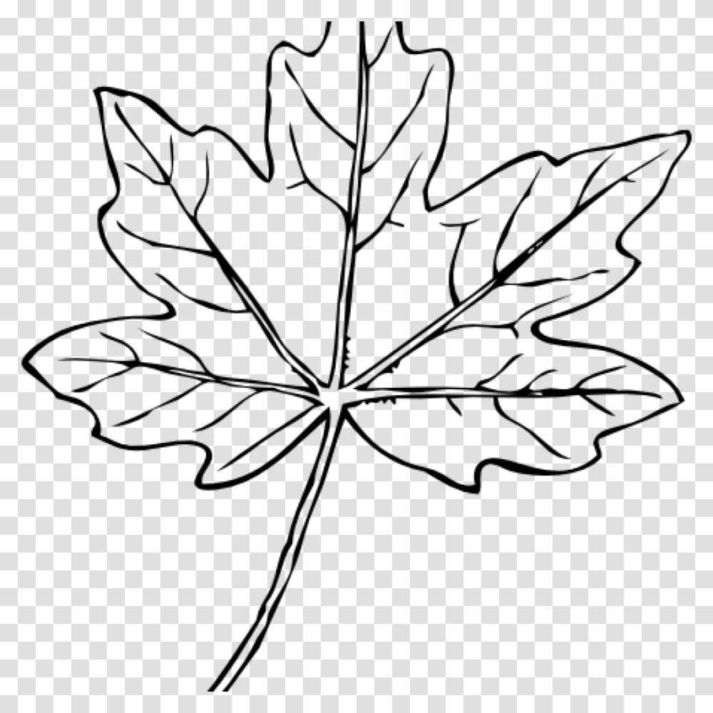 Черно белые рисунки листьев