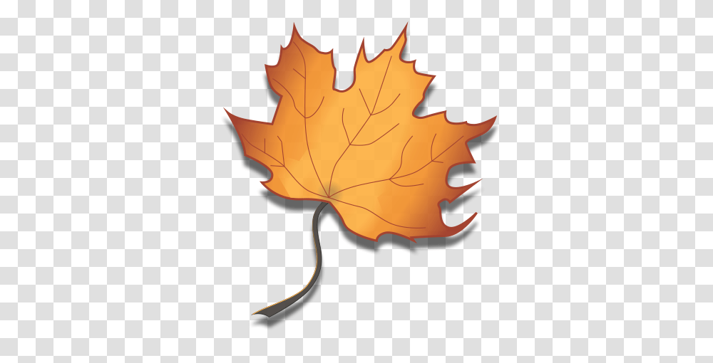 Maple Leaf Clipart Maple Syrup, Plant, Tree, Person, Human Transparent Png