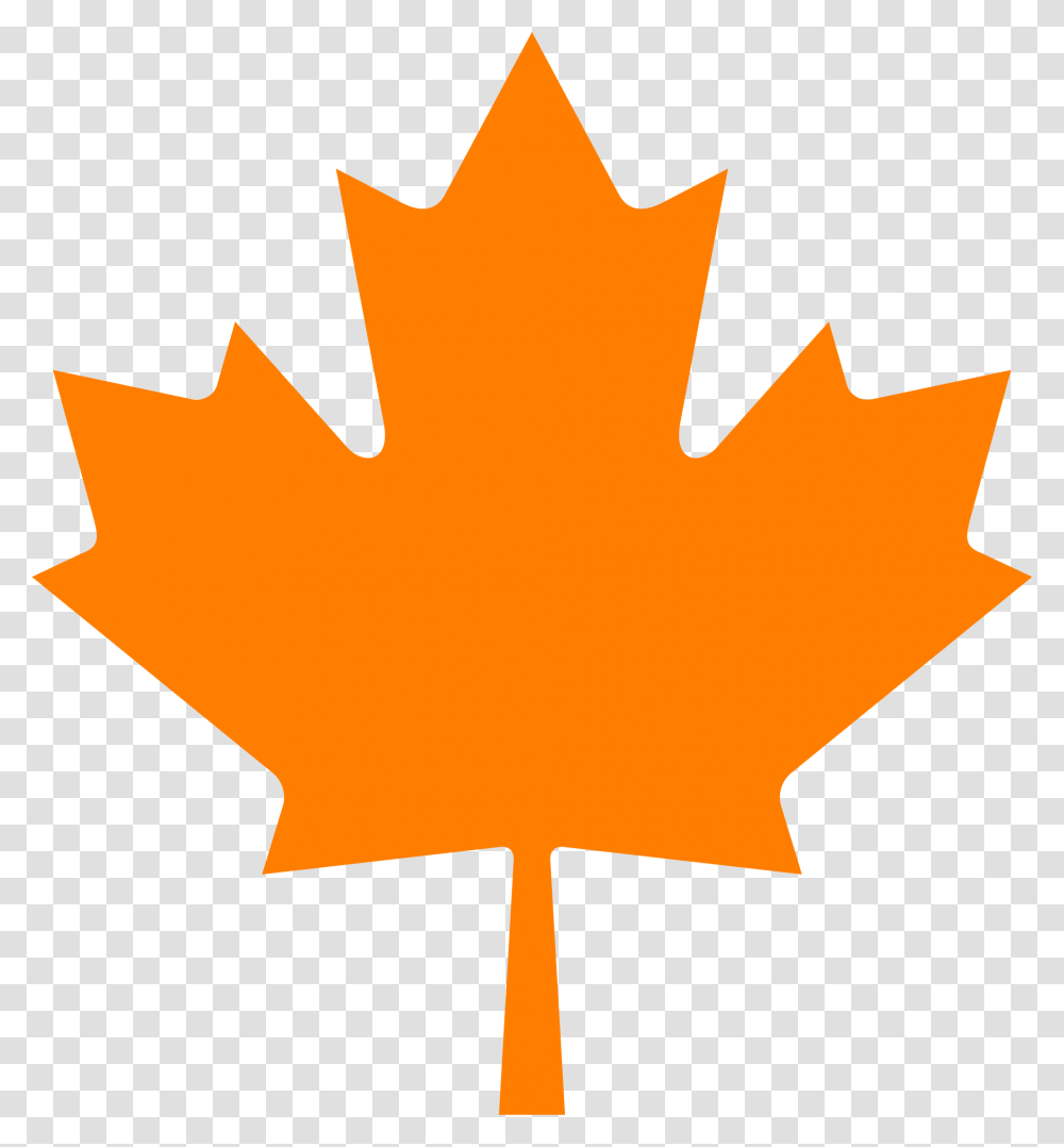 Maple Leaf Clipart November, Plant, Tree Transparent Png