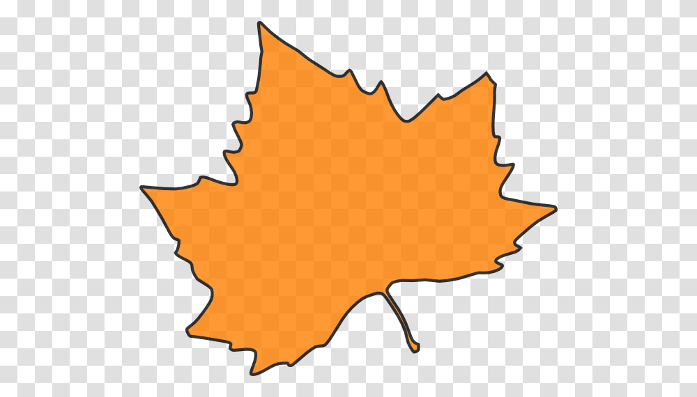 Maple Leaf Clipart Orange, Plant, Tree Transparent Png