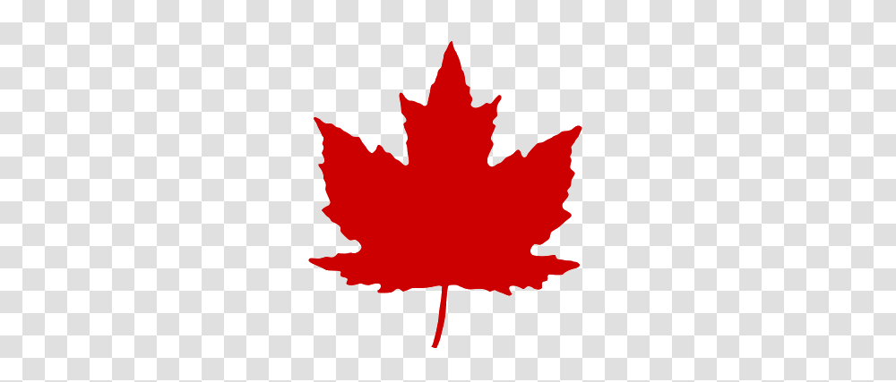 Maple Leaf Clipart, Plant, Tree, Rose, Flower Transparent Png