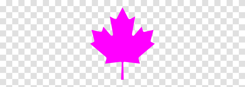 Maple Leaf Clipart Purple, Plant, Tree, Person, Human Transparent Png