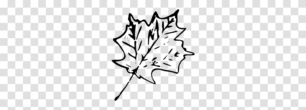 Maple Leaf Clipart Small Leaf, Gray, World Of Warcraft Transparent Png