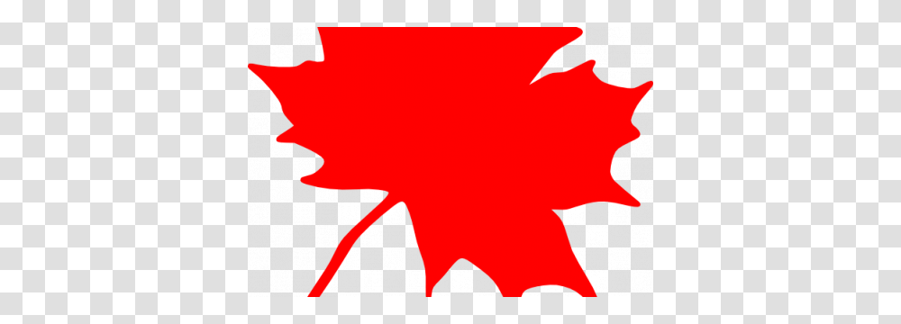 Maple Leaf Clipart Small Leaf, Plant, Tree, Person, Human Transparent Png