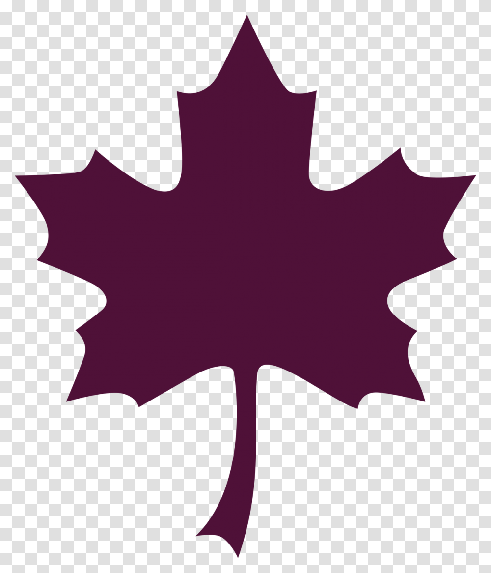 Maple Leaf Clipart Stylized, Plant, Tree, Person, Human Transparent Png