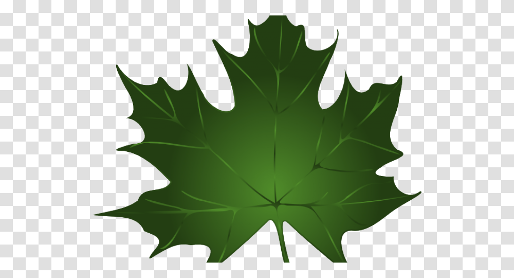 Maple Leaf Cliparts Green Fall Leaves Clip Art, Plant, Tree Transparent Png
