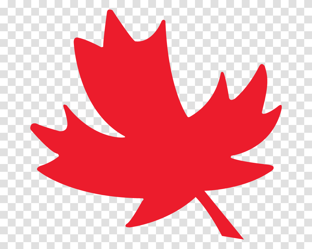 Maple Leaf Editing Canadian English Edition, Plant, Tree, Logo Transparent Png