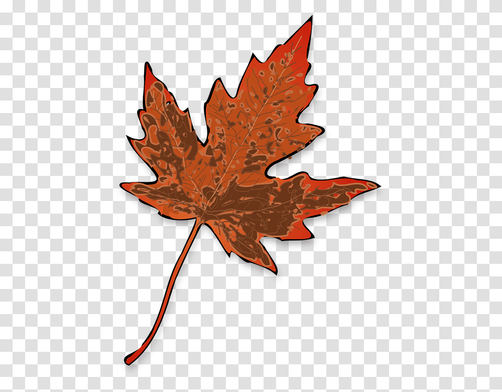 Maple Leaf Fall Yellow Brown Decay Nature Autumn, Plant, Tree, Veins, Annonaceae Transparent Png