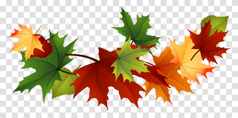 Maple Leaf Garland Stickpng Autumn Leaves Clip Art, Plant, Tree, Veins,  Transparent Png