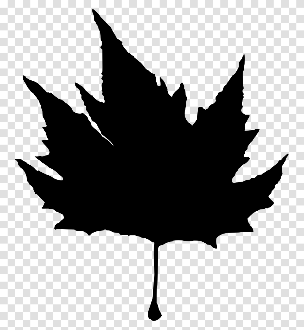 Maple Leaf, Gray, World Of Warcraft Transparent Png