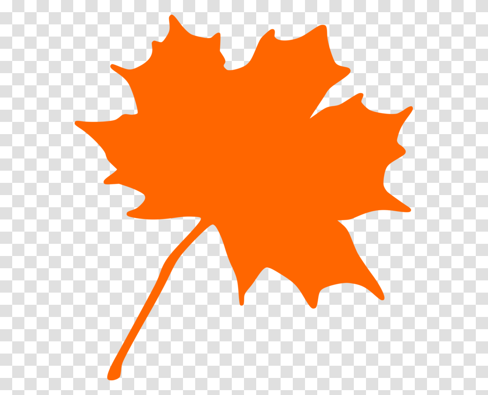 Maple Leaf Green Autumn Leaf Color, Plant, Tree, Person, Human Transparent Png