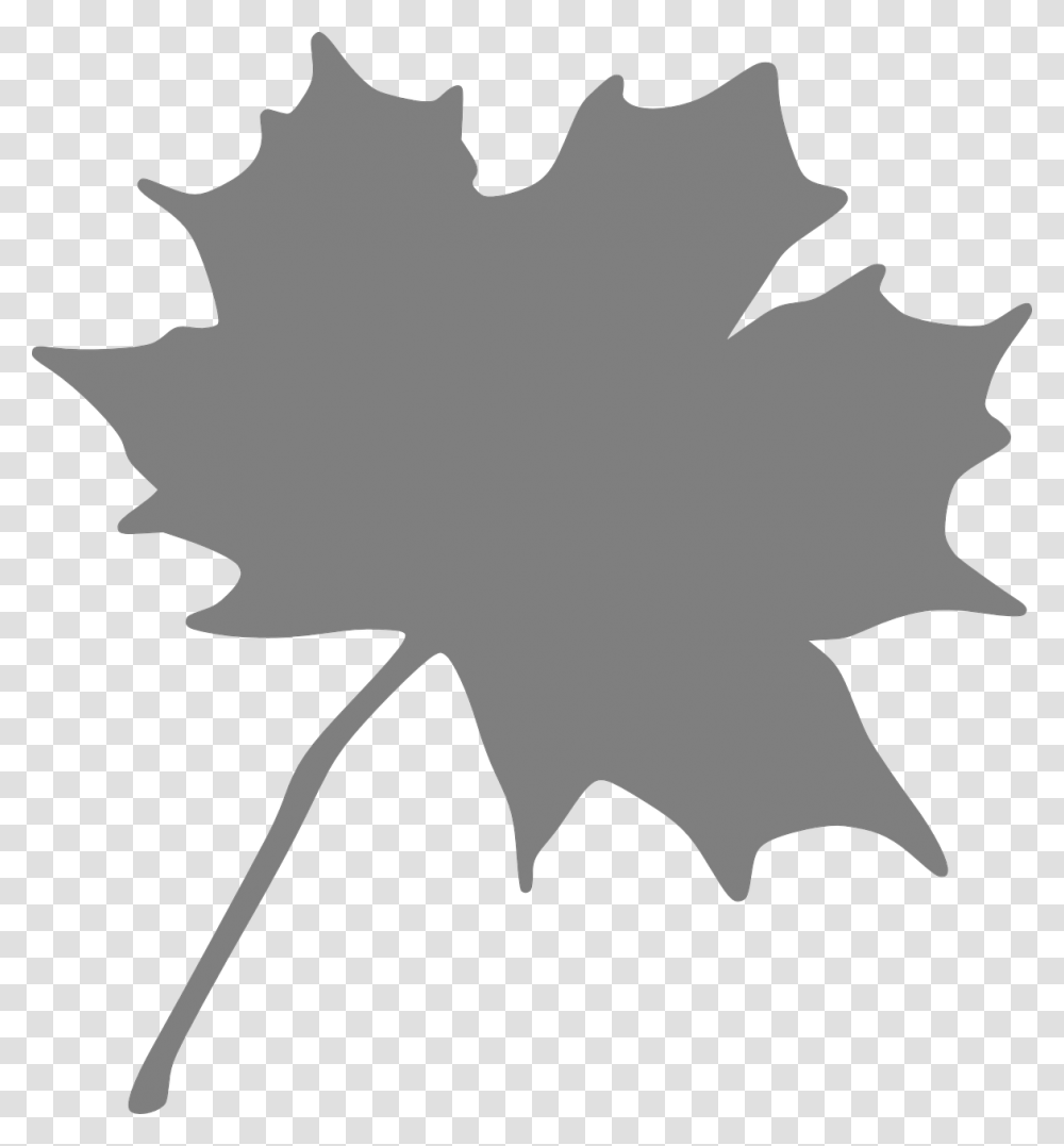 Maple Leaf Grey Free Picture Orange Maple Leaf Clipart, Plant, Tree, Person, Human Transparent Png