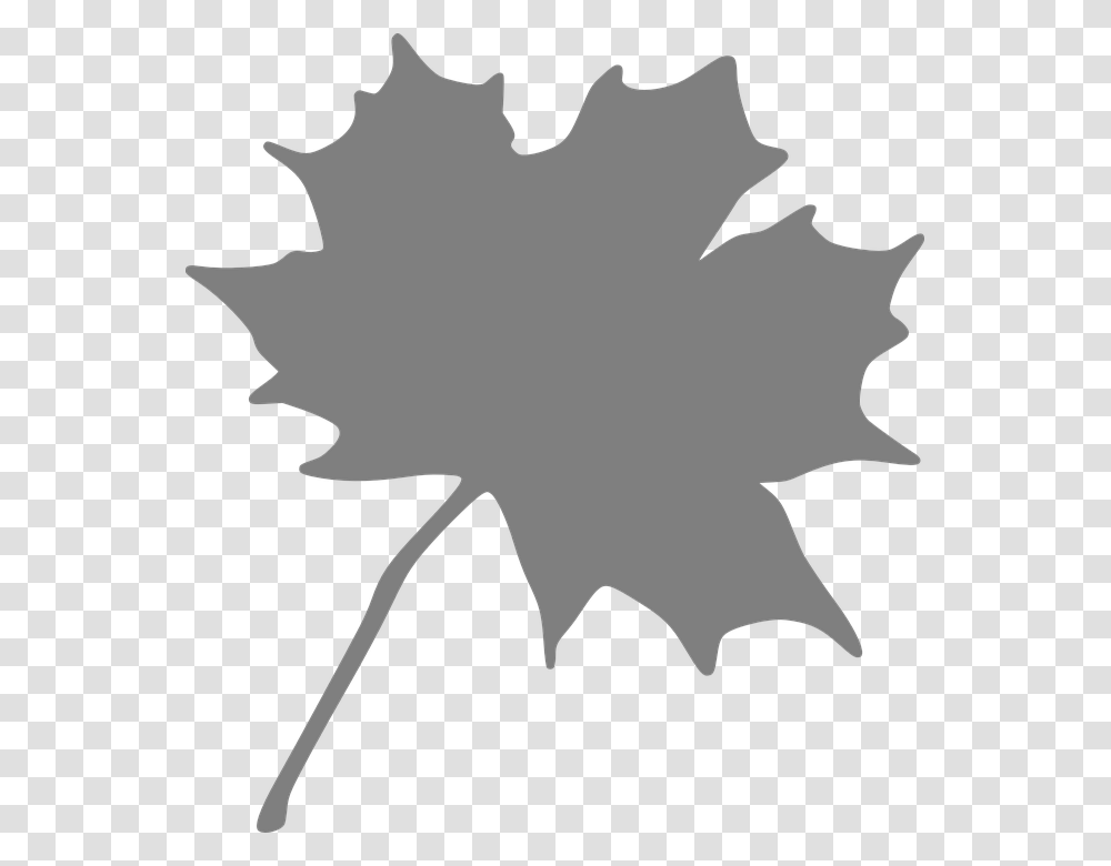 Maple Leaf Grey Orange Maple Leaf Clipart, Plant, Person, Human, Tree Transparent Png