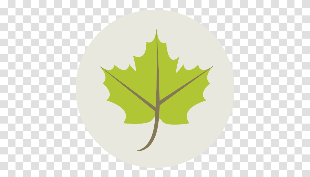 Maple Leaf Icon Autumn Icon, Plant, Tree, Painting, Art Transparent Png