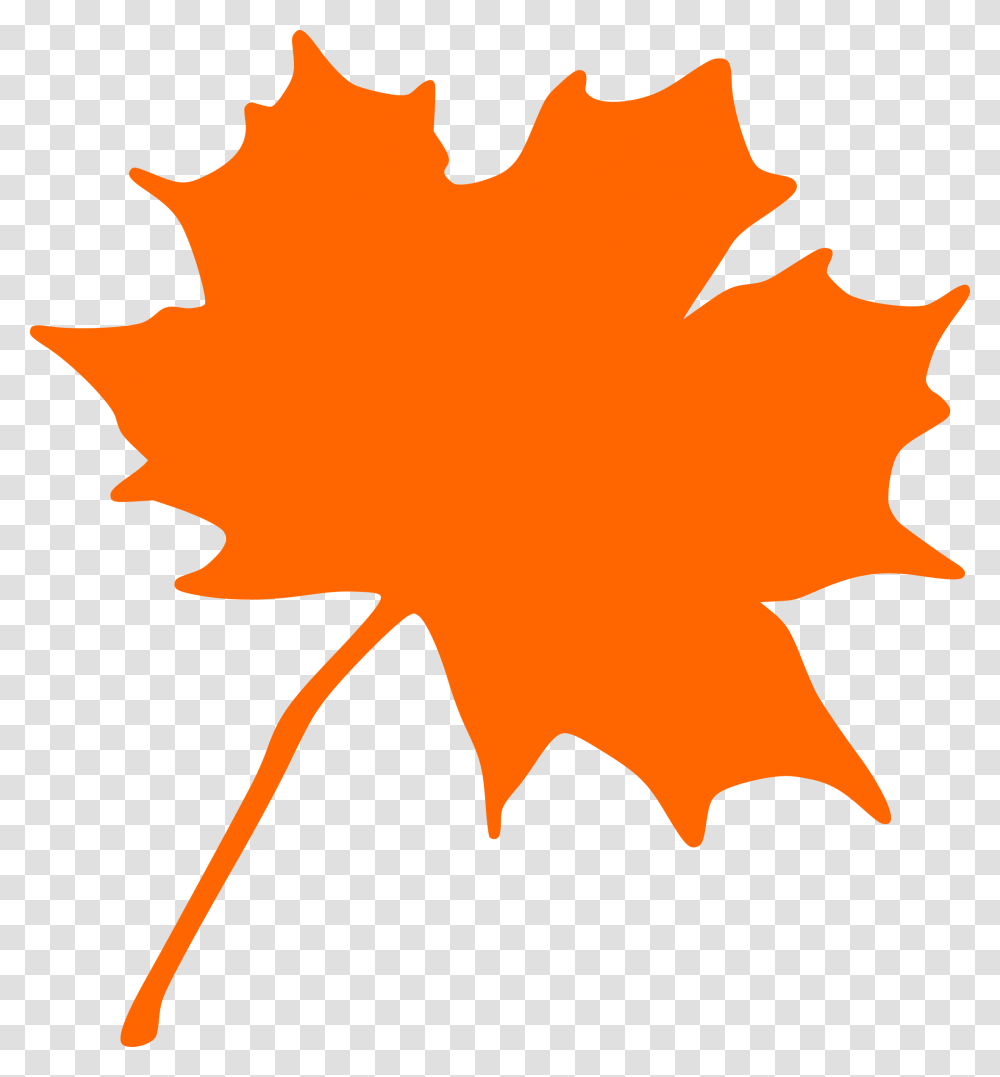 Maple Leaf Icons, Plant, Tree, Person, Human Transparent Png