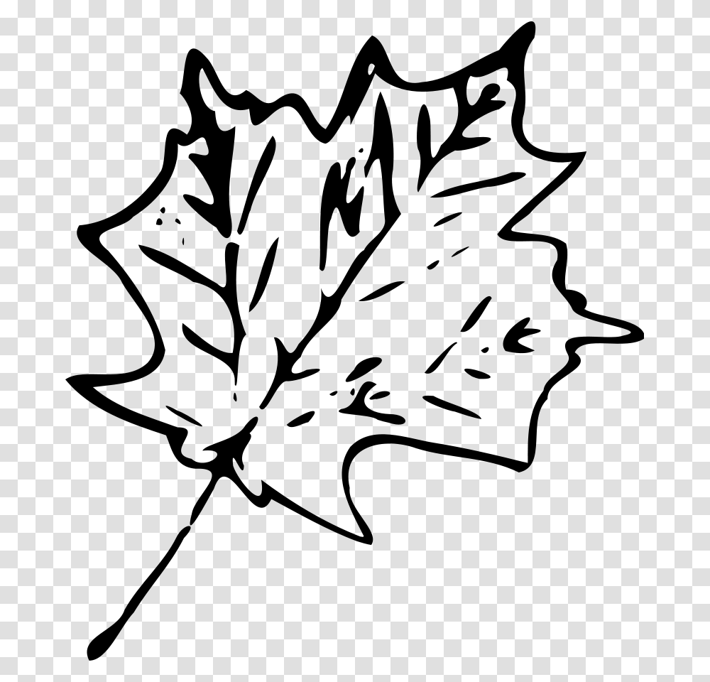 Maple Leaf Large Size, Gray, World Of Warcraft Transparent Png