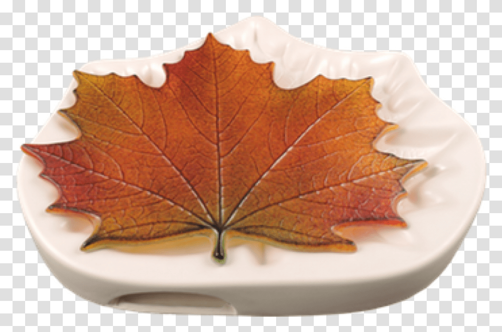 Maple Leaf Mold, Plant, Tree, Birthday Cake, Dessert Transparent Png