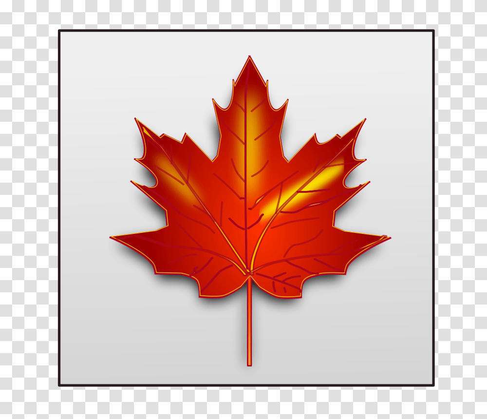 Maple Leaf, Nature, Plant, Tree Transparent Png