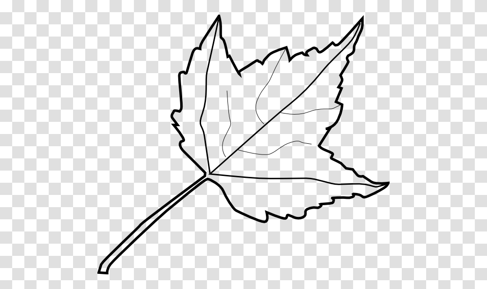 Maple Leaf Outline Clip Art, Plant, Tree, Bow Transparent Png