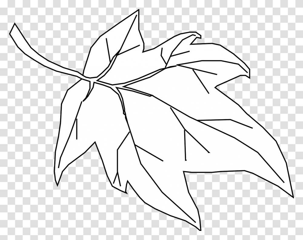 Maple Leaf Outline Tree Nature Hoja De Arbol Contorno, Plant, Transparent Png