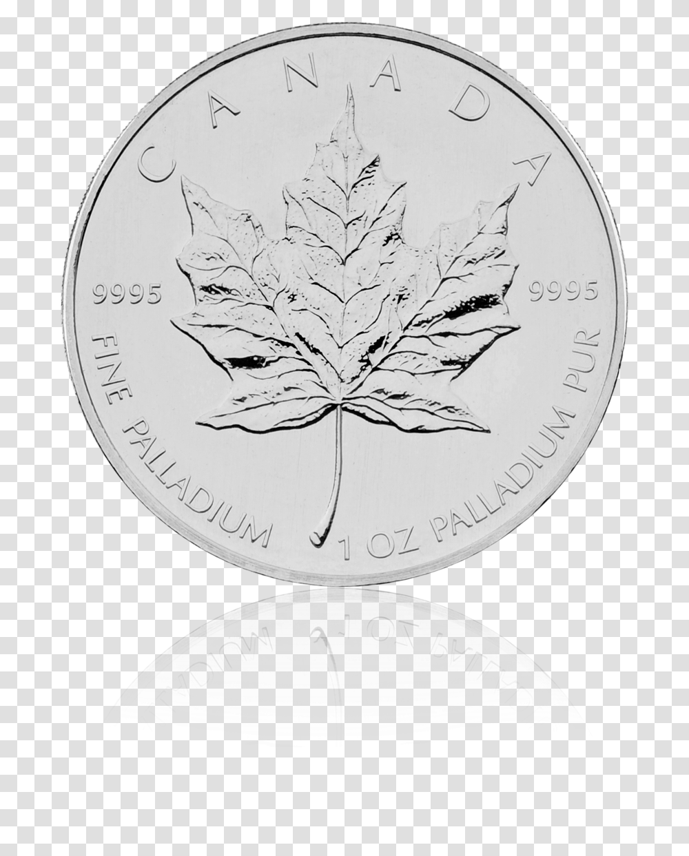 Maple Leaf, Plant, Coin, Money, Clock Tower Transparent Png