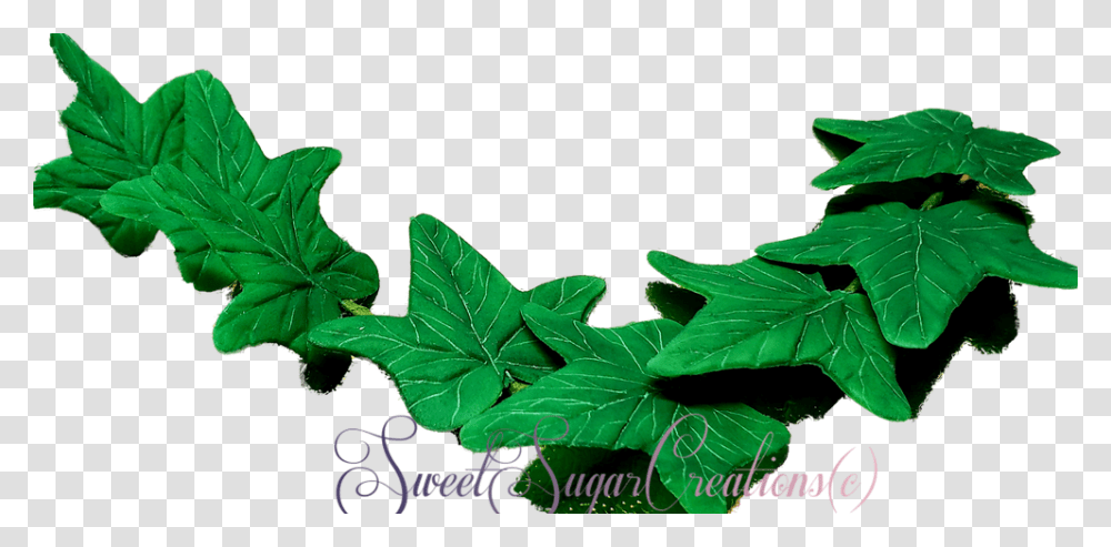 Maple Leaf, Plant, Green, Veins, Tree Transparent Png