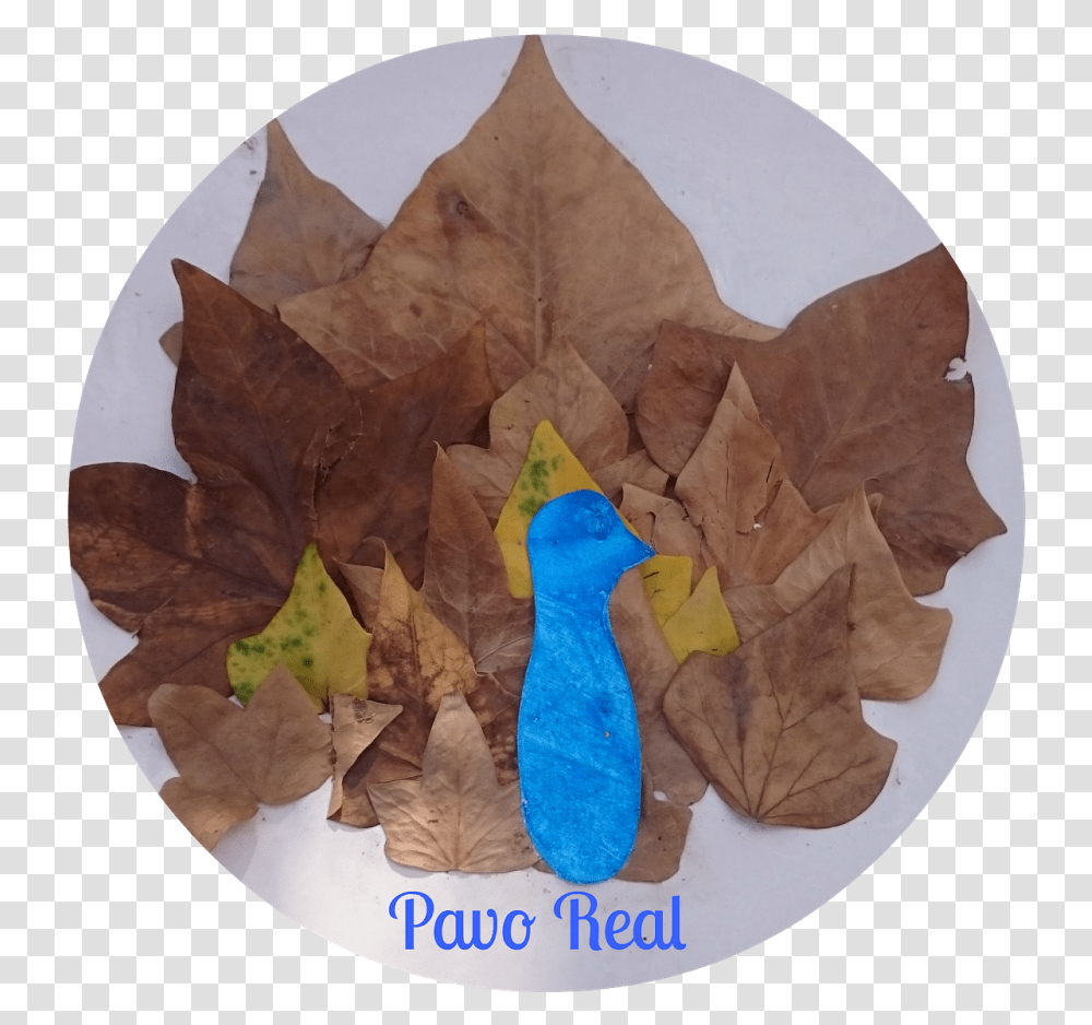 Maple Leaf, Plant, Painting, Food, Paper Transparent Png
