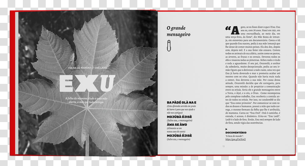 Maple Leaf, Plant, Poster, Advertisement, Tree Transparent Png