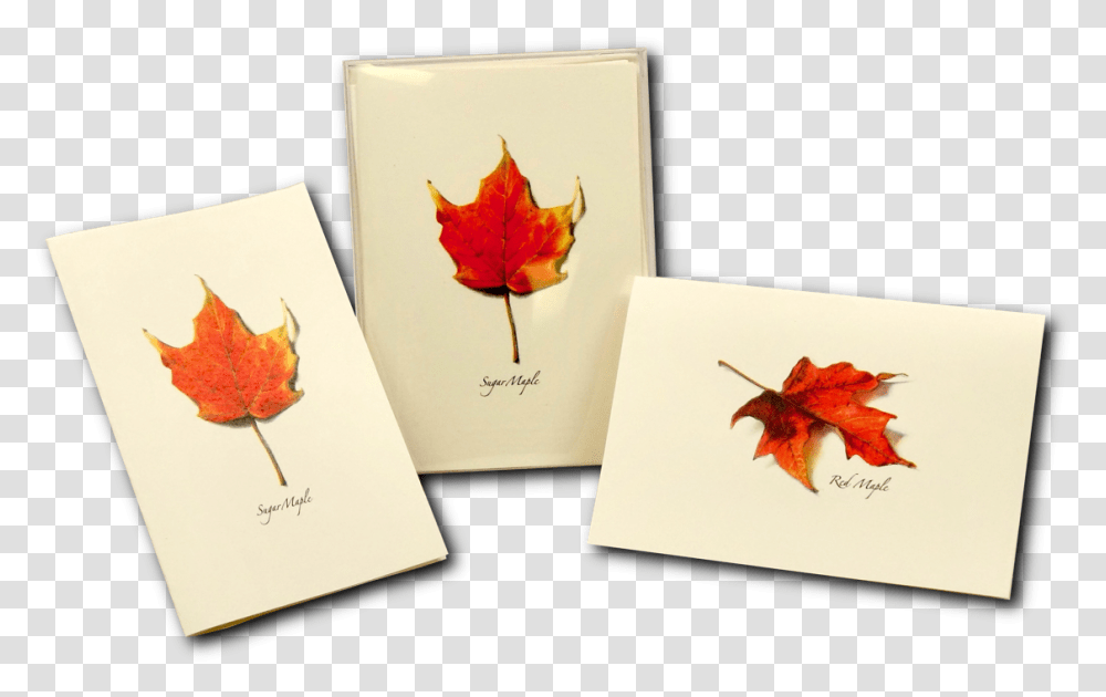 Maple Leaf, Plant, Tree, Bird, Animal Transparent Png