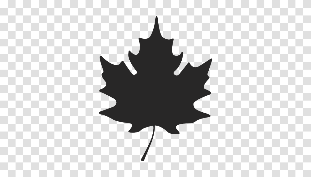 Maple Leaf, Plant, Tree, Cat, Pet Transparent Png