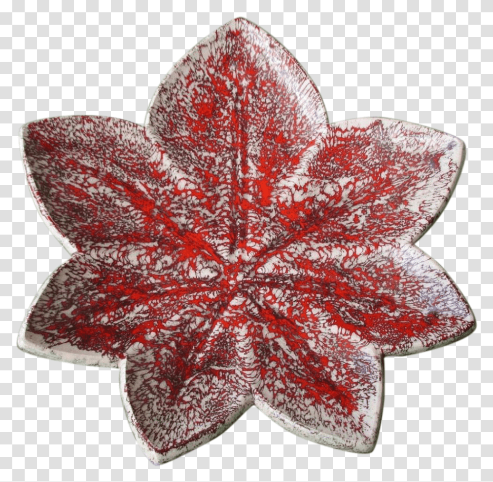 Maple Leaf, Plant, Tree, Flower, Blossom Transparent Png