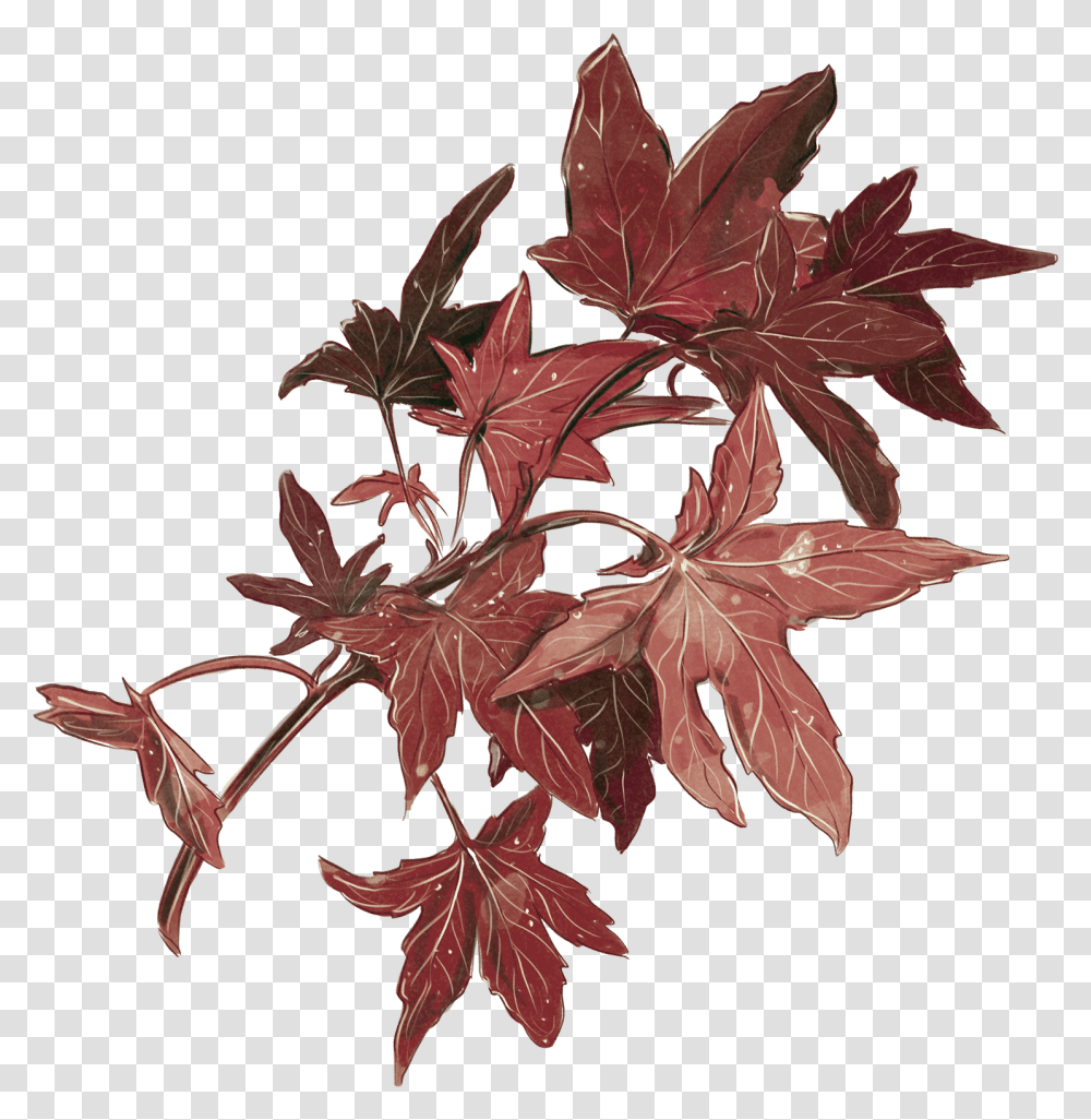 Maple Leaf, Plant, Tree, Painting Transparent Png