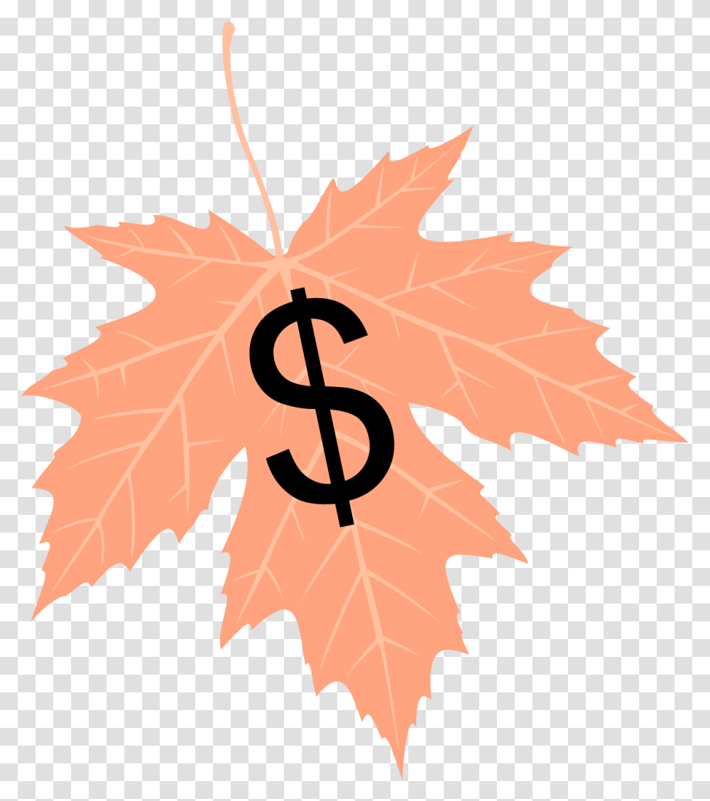 Maple Leaf, Plant, Tree, Person, Human Transparent Png