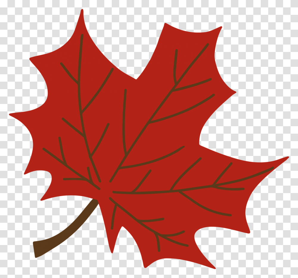 Maple Leaf, Plant, Tree, Person, Human Transparent Png