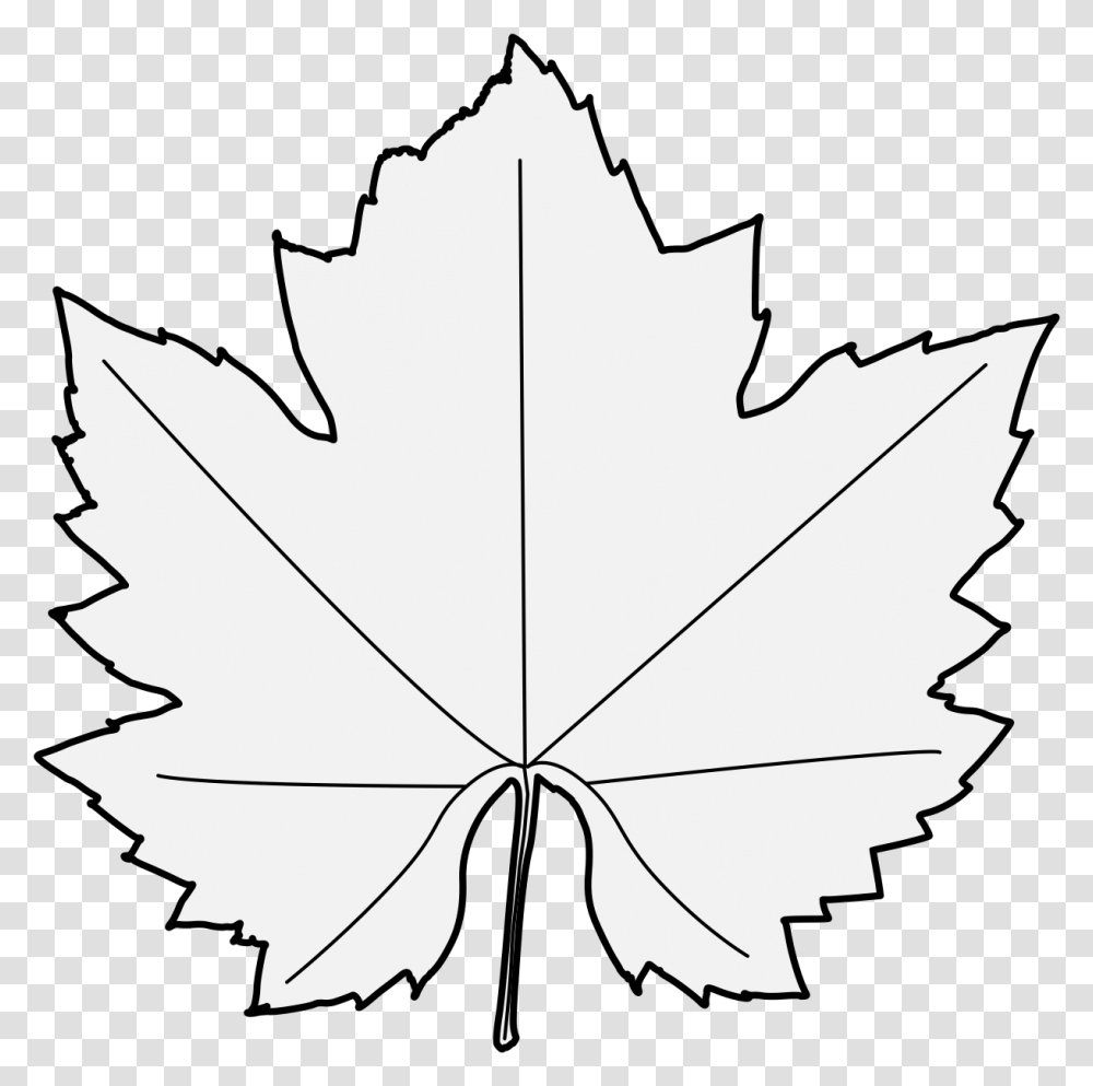 Maple Leaf, Plant, Tree, Person, Human Transparent Png