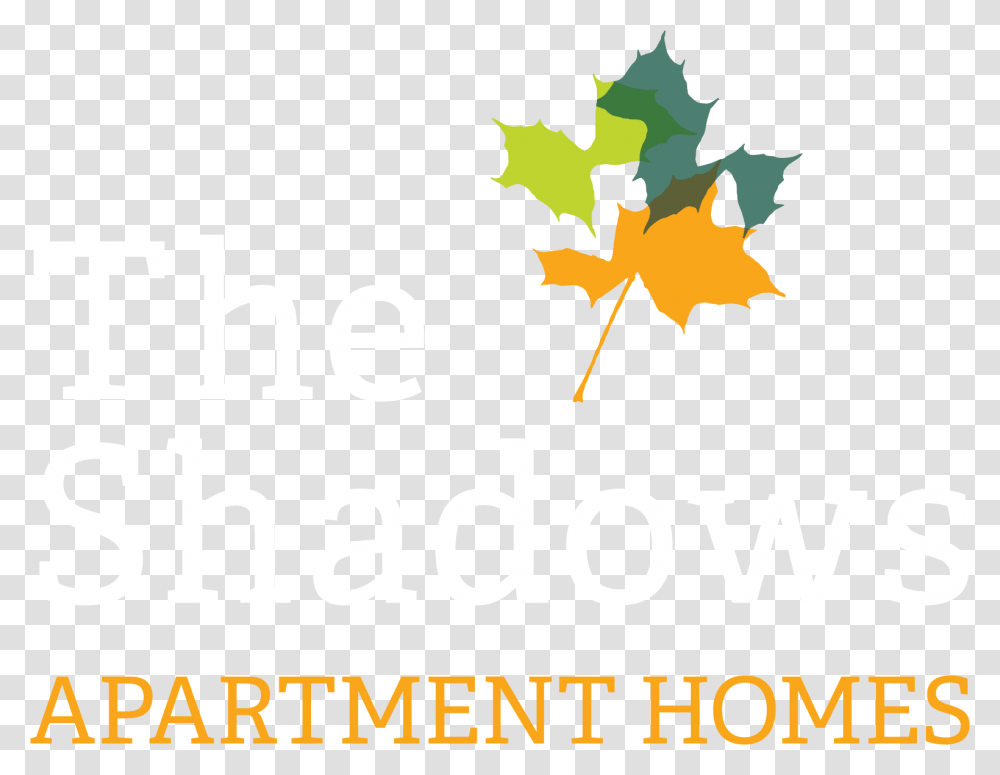 Maple Leaf, Plant, Tree, Poster, Advertisement Transparent Png