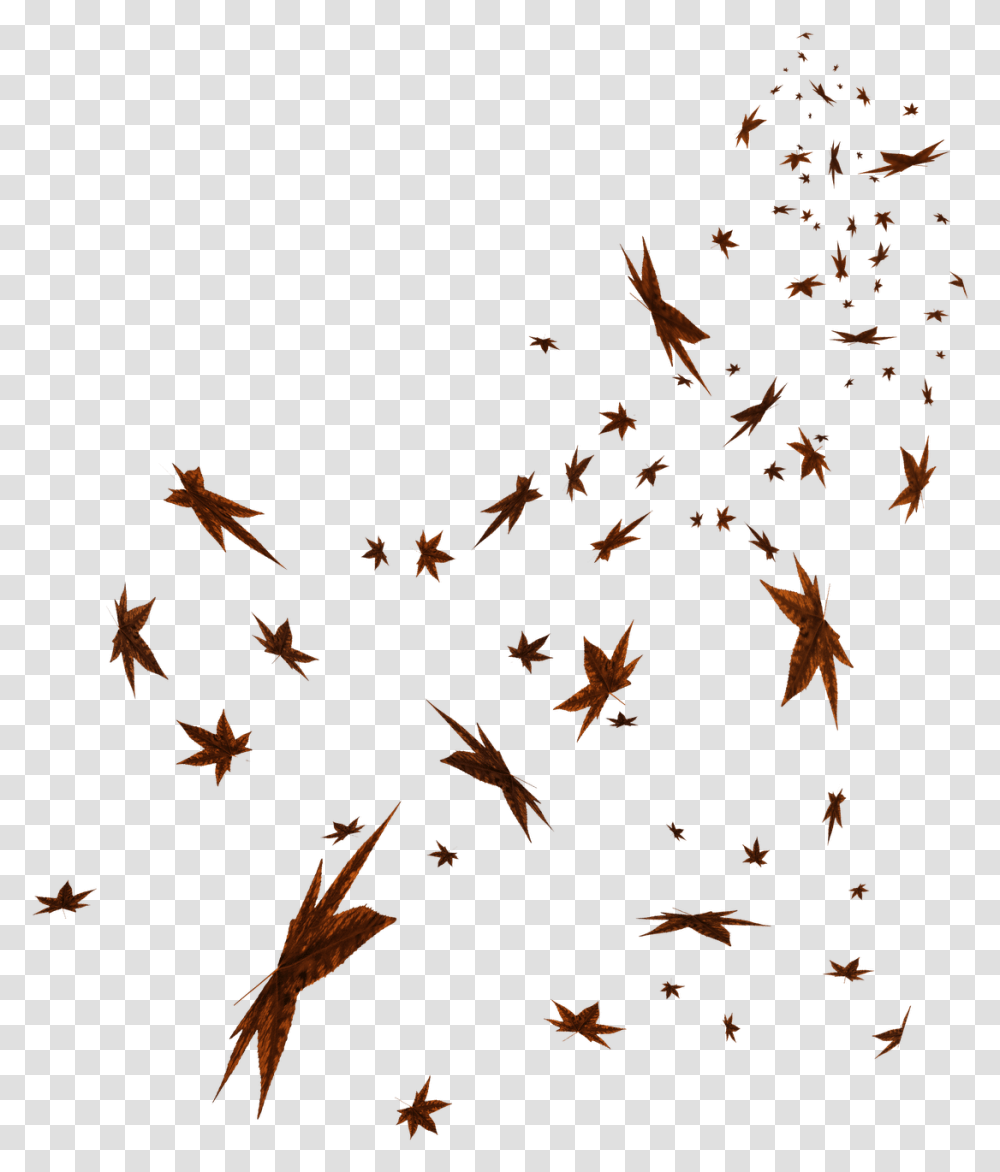 Maple Leaf, Plant, Tree, Silhouette, Skin Transparent Png