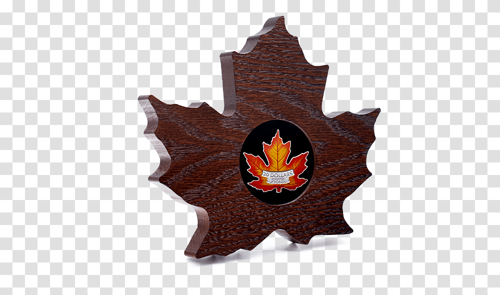 Maple Leaf, Plant, Tree Transparent Png