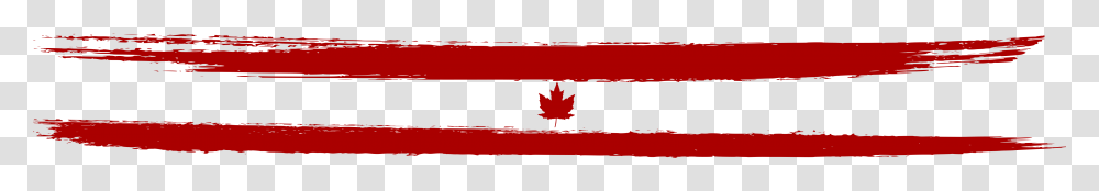 Maple Leaf, Plant, Tree Transparent Png