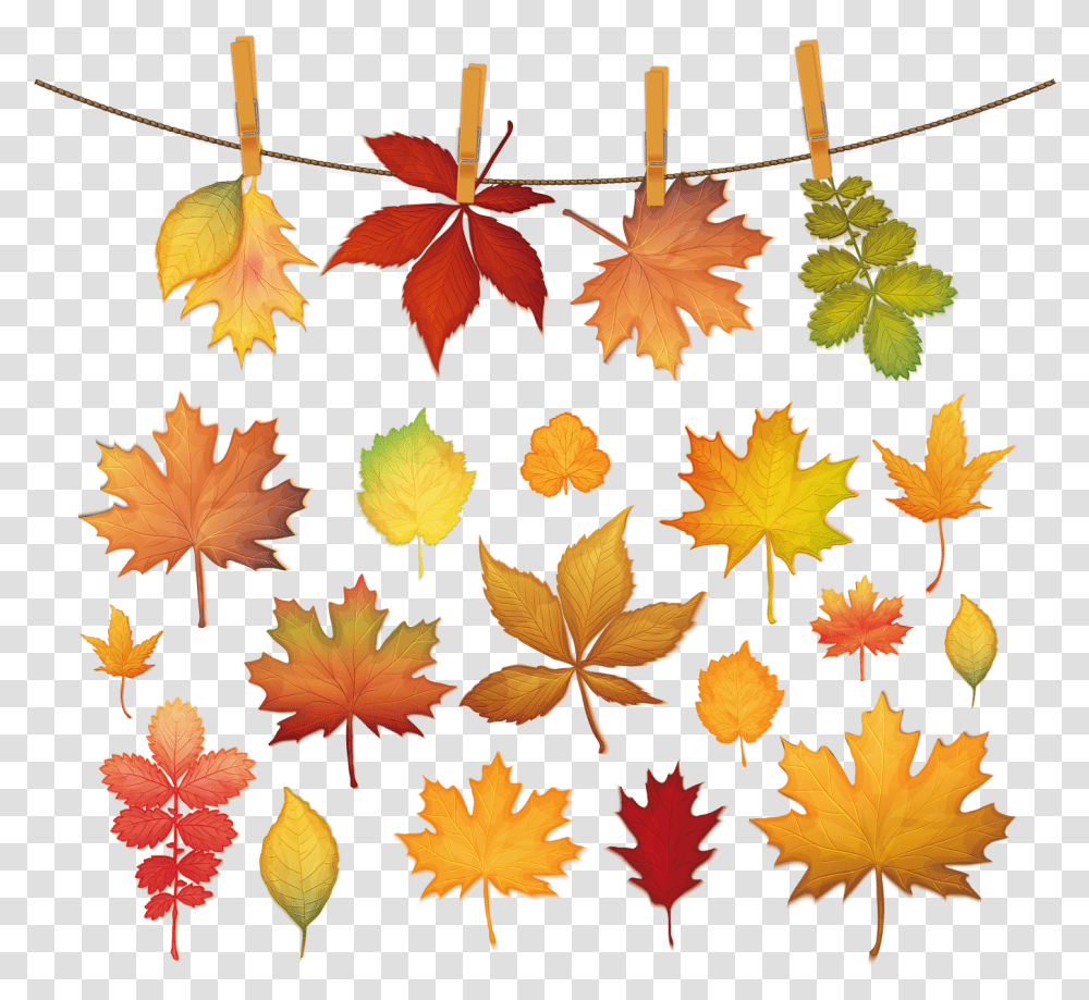 Maple Leaf Silhouette Autumn Clip And Red Leaves Picture Leaf, Plant, Tree, Rug Transparent Png