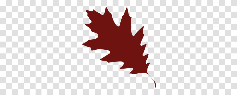 Maple Leaf Silhouette Drawing Line Art, Plant, Tree, Person, Human Transparent Png