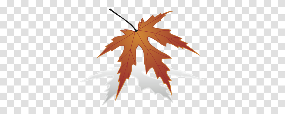 Maple Leaf Sugar Maple Computer Icons Japanese Maple Free, Plant, Tree Transparent Png