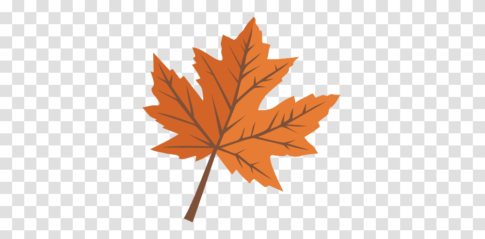 Maple Leaf Svg Scrapbook Cut File Cute Clipart Files For General List Canada Cap Badge, Plant, Tree, ,  Transparent Png