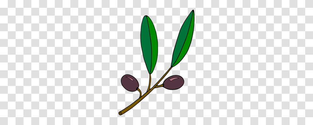 Maple Leaf Tree Branch Plant, Green, Fruit, Food, Annonaceae Transparent Png
