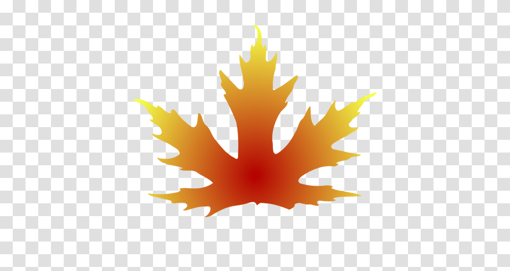 Maple Leaf Vector Clip Art, Plant, Tree, Poster, Advertisement Transparent Png