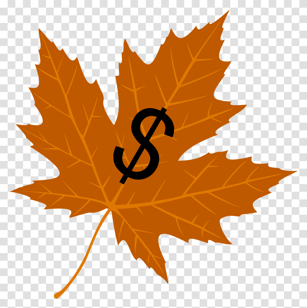 Maple Leafs Line, Plant, Tree, Person, Human Transparent Png