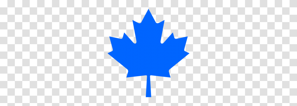 Maple Leafs Not Leaves Maple Leaves Forever, Plant, Tree, Person, Human Transparent Png