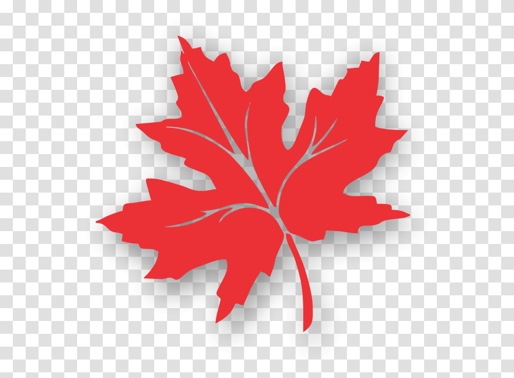 Maple Leaves Clipart Chinar Leaf Kashmir Logo, Plant, Tree, Maple Leaf, Flower Transparent Png