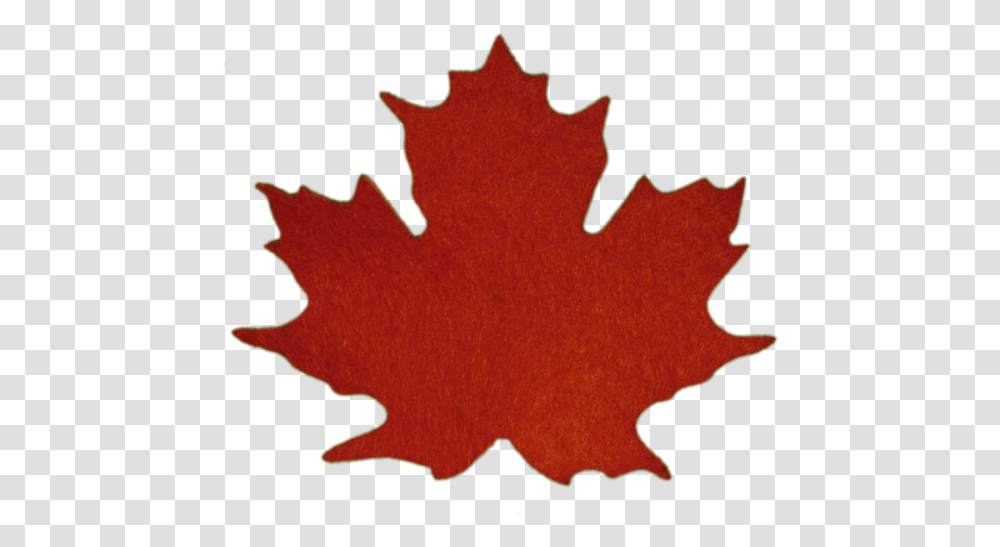 Maple Leaves Sugar Maple Leaf 587x500 Clipart Download Flag Maple Leaf Canada, Plant, Tree Transparent Png