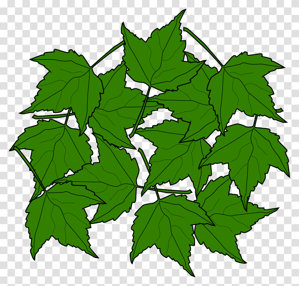 Maple Leaves Svg Clip Arts Portable Network Graphics, Leaf, Plant, Tree, Green Transparent Png